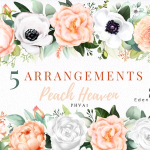 Digital Peach Arrangements/Clipart/Flowers/Bouquets/Stationery/Watercolor/Orange/Tangerine/Salmon/Blush/Coral/Border/Beige/Commercial use