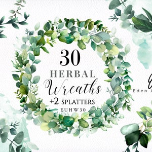 Greenery Wreaths/Eucalyptus/Frame/Clipart/Digital/Watercolor/Leaves/Leaf/Herbal/Border/Botanical/Plant/Splatter/Foliage/Commercial use