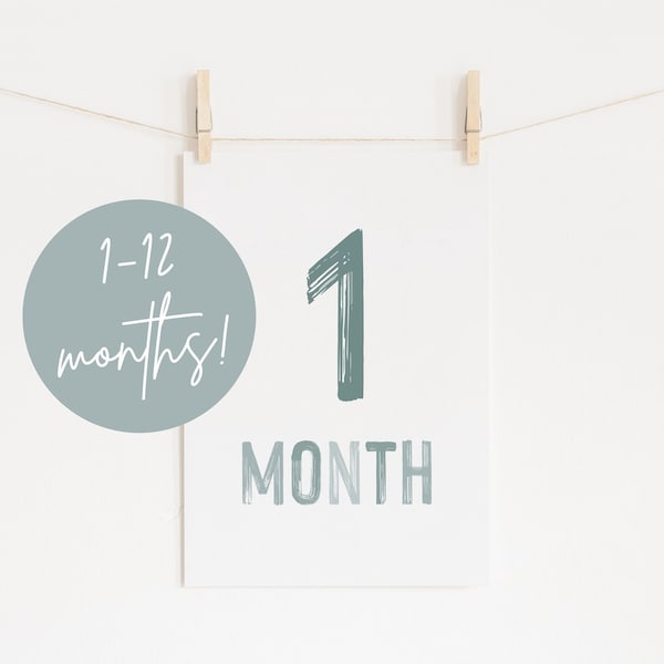 DIGITAL DOWNLOAD • Monthly Milestone Cards Blue • Printable Monthly Milestone Cards • Babyshower Gift • Milestone Cards Set 1-12 Months