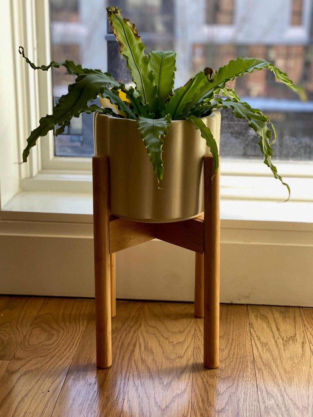 Adjustable Mid Century Plant Stand Planter Stand Potted - Etsy
