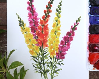 Snapdragons Watercolor Fine Art Print
