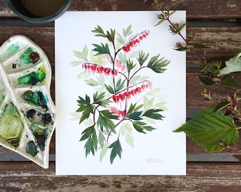 Watercolor Bleeding Hearts - Fine Art Print