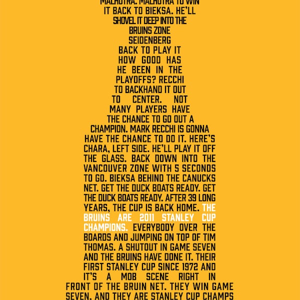 Boston Bruins 2011 Stanley Cup Poster