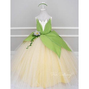 Princess Tiana and Frog Dress, Tiana Costume for Birthday, Disney Inspired