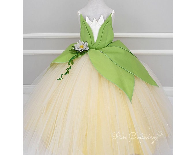 Princess Tiana and Frog Dress, Tiana Costume for Birthday, Disney Inspired