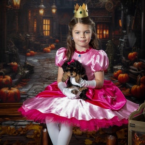Etsy princess costume store
