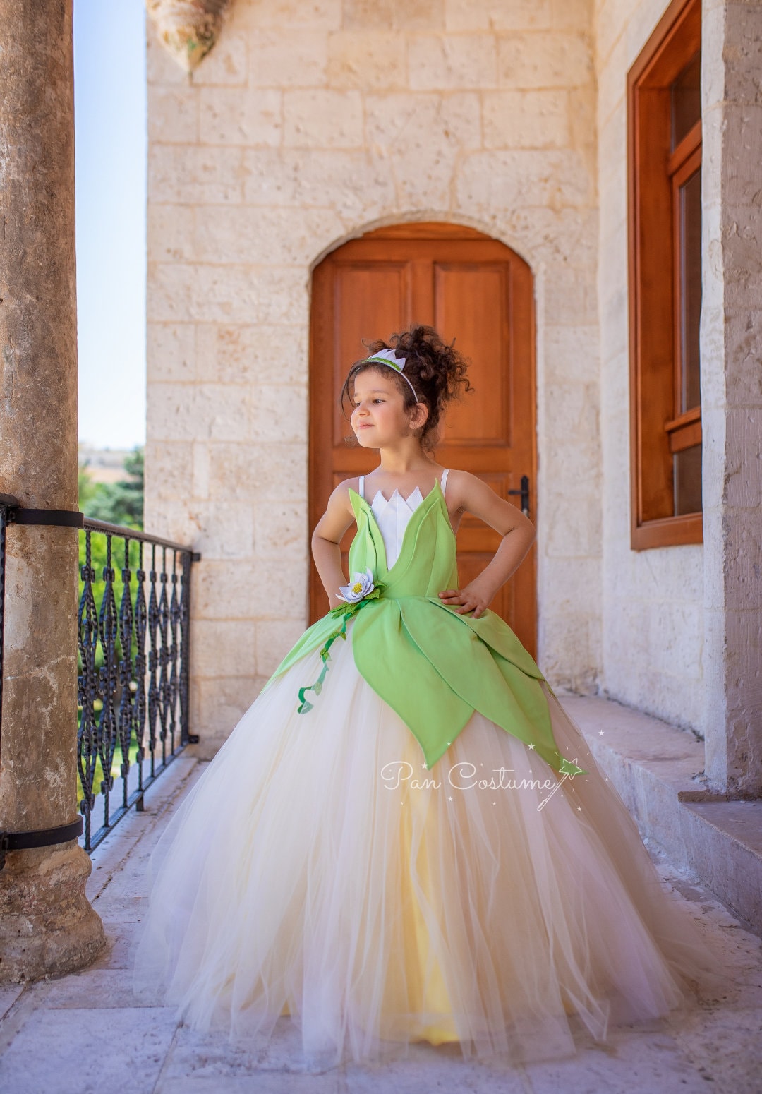 princess tiana wedding dress