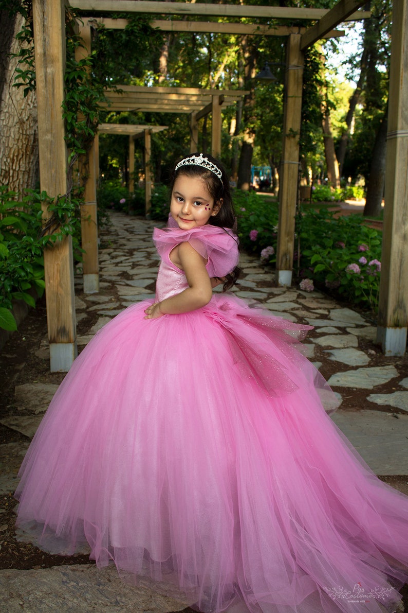 Rubies Pink Princess Dress Couture Rubies Pink Princess - Etsy