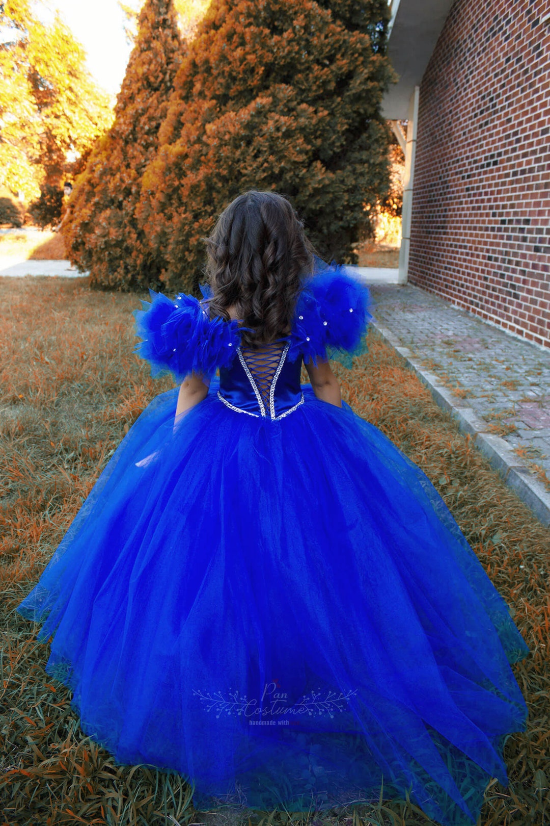Royal Blue Party Gown for Toddlers and Girls Royal Blue Birthday Dress for Girls Rich Fluffy Court Train Blue Flower Girl Tutu Dress Etsy