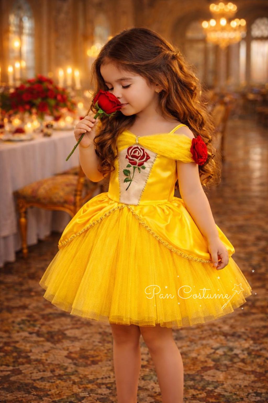 beauty and the beast birthday dress Beauty and the Beast Birthday Costume for Toddler, Princess Belle Dress