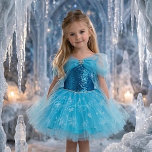 dress shops in pittsburgh pa for homecoming The Frozen Ice Queen Birthday Dress  Cora and Violet