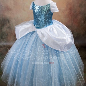 Cinderella Costume Cinderella Birthday Dress Party Gown - Etsy