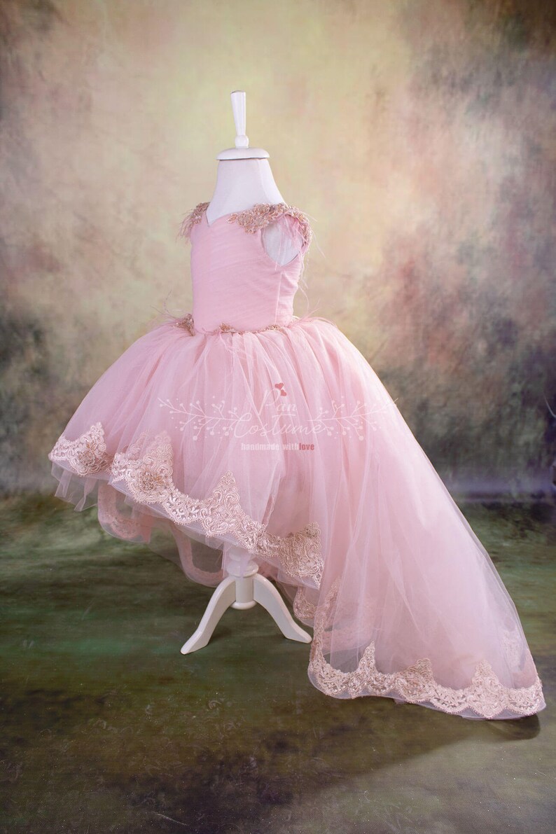 Blush Blossom Toddler Pink Girl Party Dress