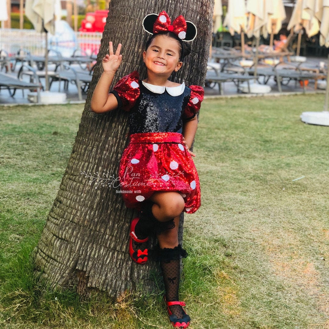 Minnie Mouse Baby Dress, Minnie Mouse Birthday Costume, Minnie Mouse  Inspired Outfit 