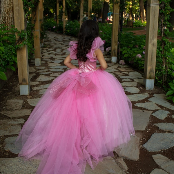 Rubies Pink Princess Dress, Couture Rubies Pink Princess Costume, Sapphire Flower Girls Dress, Fluffy Court Train Rubies Tutu Party Gown