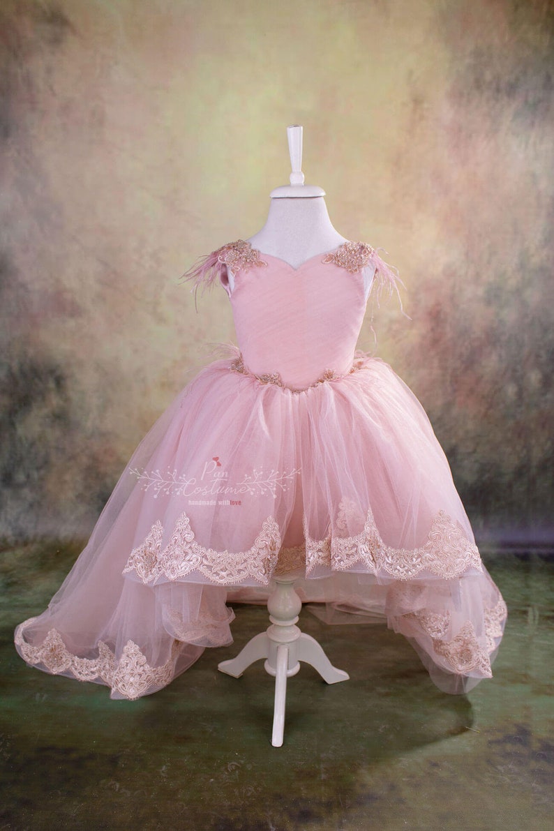 Blush Pink Flower Girl Dress Blush Lace Toddler Bridesmaid Etsy