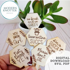 Punny Plant Markers (ARCHIVO solo sin producto físico) - Archivo SVG Cut (6 diseños - más participación adicional del maestro)