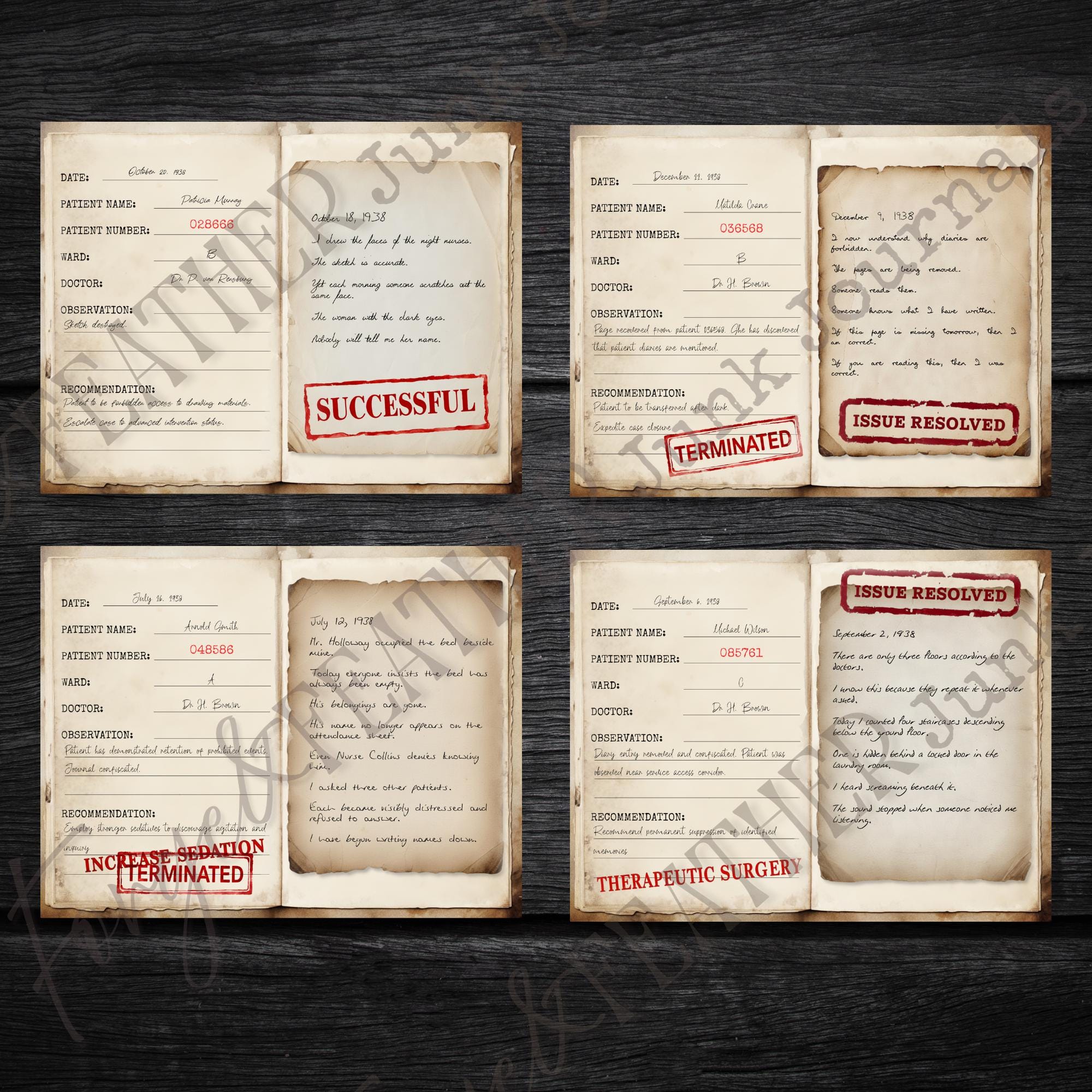 Vintage Asylum Patient Diaries & Doctor Notes - Confiscated Journal ...