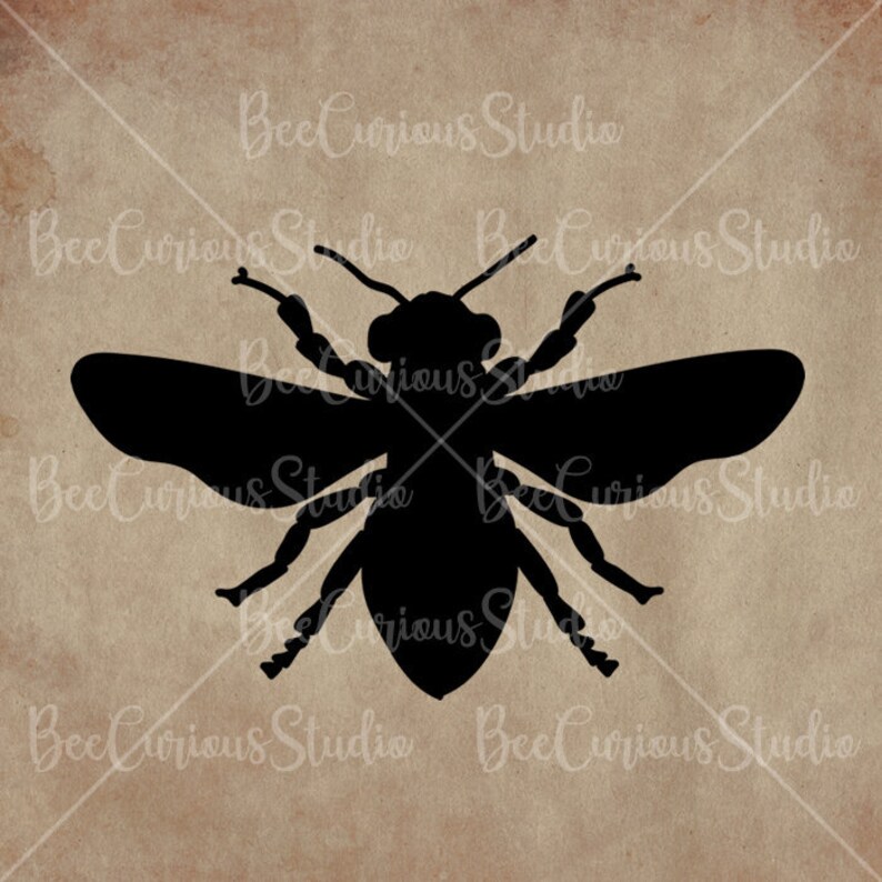 Download Honey Bee Digital Download SVG Cricut Cut File PNG & JPEG | Etsy