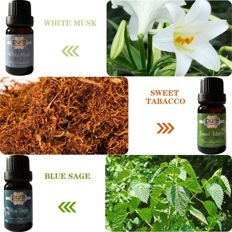 Men's Fragrance Oil Set by Pure Set of 6 Mens Fragrances Etsy