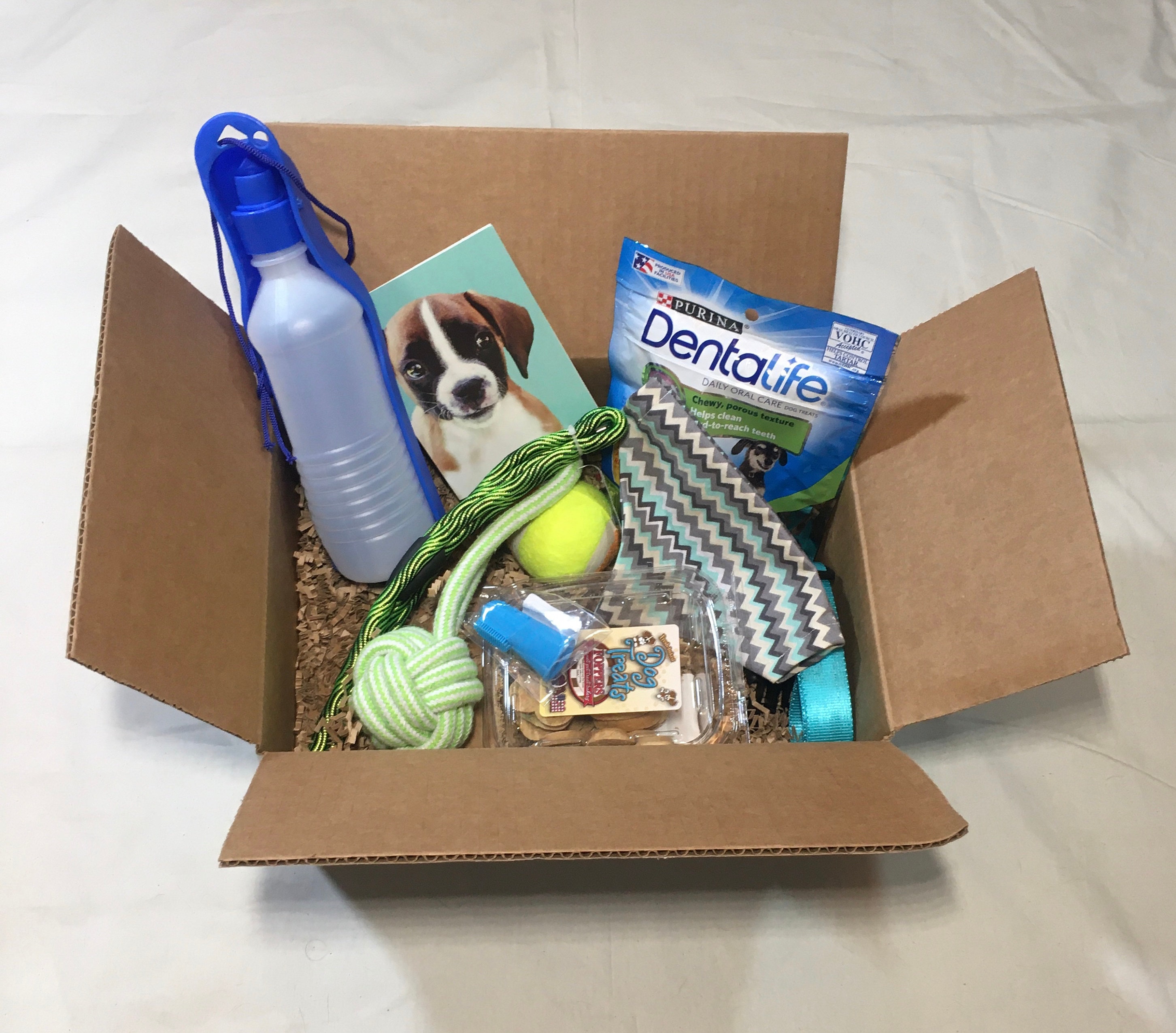 Dog Box Doggy Toy Box Pet Lover Gifts Gift Box Etsy