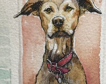 Commission a 5x7 Pet Portrait by Jamie Peterson. Ink and Watercolor Painting.