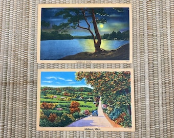 Vintage Set of 2 Tichnor Bros Colorized Scenic Post Card Midland Michigan
