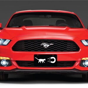 May include: A red Ford Mustang with a black grille and a license plate that says "Cat Magnet".