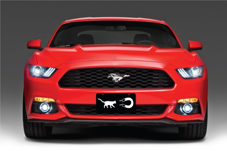 May include: A red Ford Mustang with a black grille and a license plate that says "Cat Magnet".