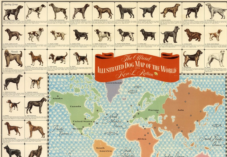 The Official Illustrated Dog Map of the World - Etsy
