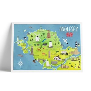 May include: A framed print featuring a colorful illustrated map of Anglesey, Wales. The map includes landmarks, towns, and illustrations of animals and landmarks. The word "ANGLESEY" is written in white script at the top right.