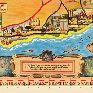 Pu&ograve; includere: Un'illustrazione vintage di una mappa con una citazione di Sir Francis Drake sul Capo di Buona Speranza. La mappa presenta vari punti di riferimento e animali, tra cui struzzi, elefanti e pesci volanti. La citazione dice: "Questo Capo &egrave; una cosa molto maestosa e il Capo pi&ugrave; bello che abbiamo visto in tutta la circonferenza della terra. Sir Francis Drake"
