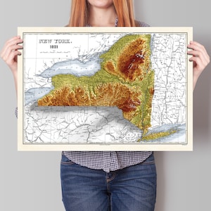 New York Map -  1831 Vintage Relief Map Print With 3D Illusion - Professionally Restored - Tompkins - Steuben - Cattaraugus - Delaware