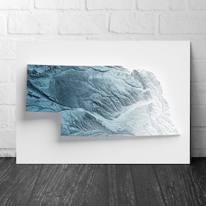 May include: A 3D topographical map of the state of Tennessee, printed on a white background. The map is shaded in shades of blue and white to show elevation changes.