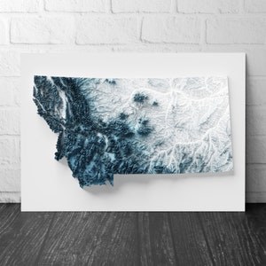 Montana Kunst Reliefkarte - 2D Druck - USA Geologie - 2D Shaded Relief Map - Vereinigte Staaten von Amerika