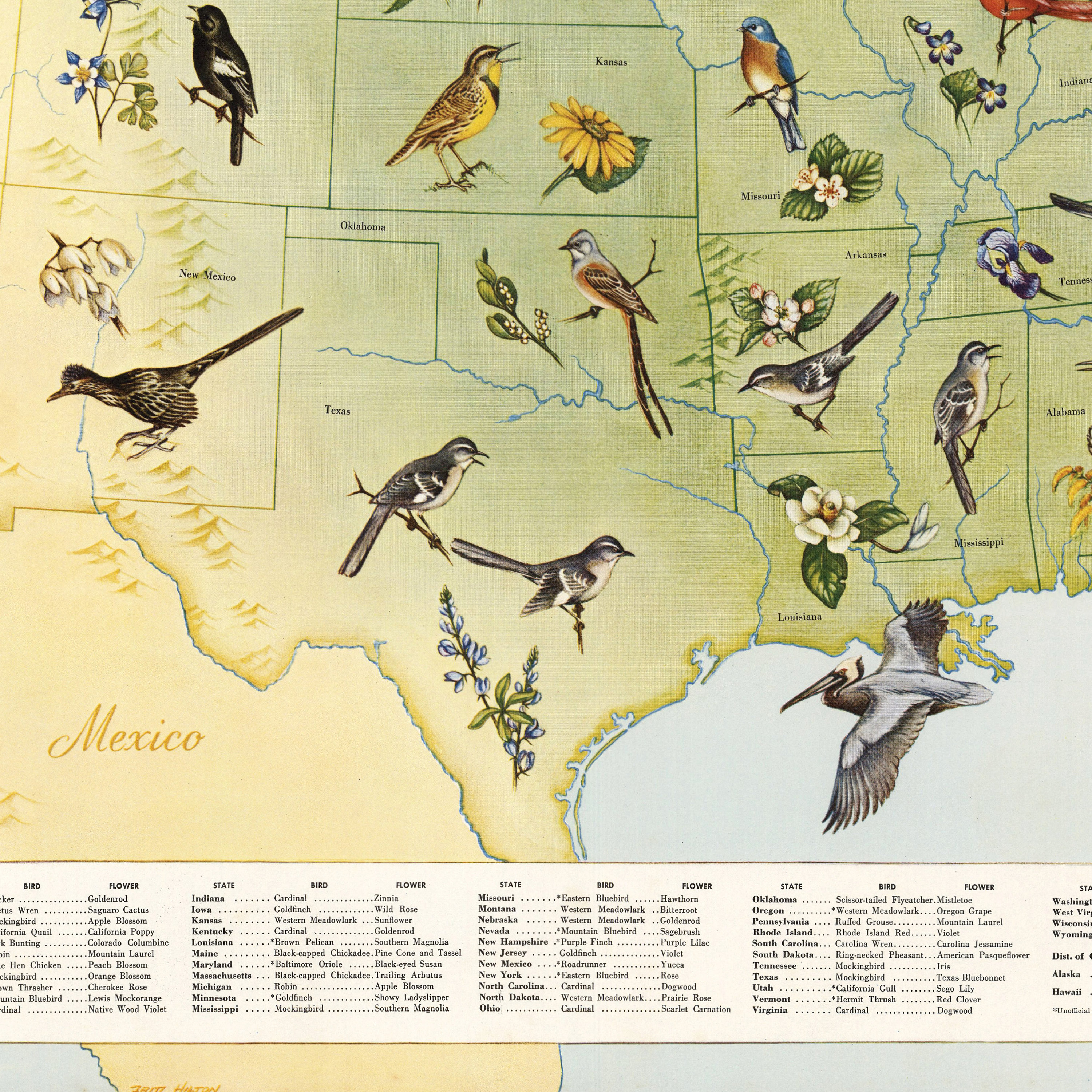 State Birds and Flowers of USA - 1965 - Reproduction Print - Etsy