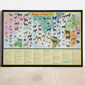 Hunde und Katzen der Welt, Hunde- und Katzenbildkarte, 1973 Ralston Purina Hunde und Katzen der Welt, Wandposter, Hundeillustration