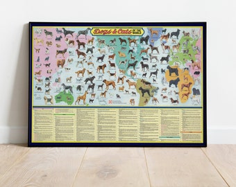 Dogs and Cats of the World, Dog & Cat Pictorial Chart, 1973 Ralston Purina Dogs and Cats of the World Wall Poster, Dog Illustration