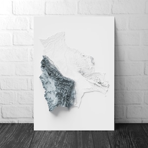 Bolivien Kunst Relief Karte - 2D Schwarzweiss Druck - Bolivien Geologie - 2D schattierte Relief Karte - Einzigartige bolivianische Kunst