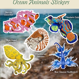 Ocean Animals Stickers, waterproof stickers, vinyl stickers, animal stickers, marine wildlife, nature stickers, art decal