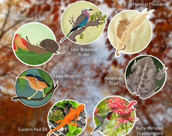Wildlife Circle Stickers: Waterproof Vinyl Animal Decals