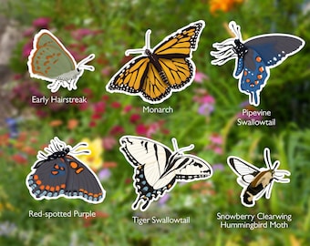 Butterfly & Moth Sticker Set: Waterproof Vinyl Pollinators Art Decal