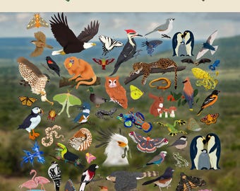 Build Your Own Zoo Sticker Set: Waterproof Vinyl Wildlife Decals