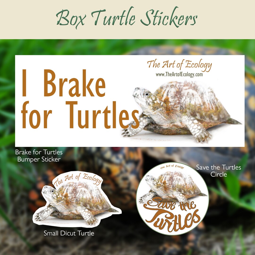 Turtlebox Custom Decal Box Turtle Stickers: Waterproof Vinyl Decals, Nature Art - Etsy