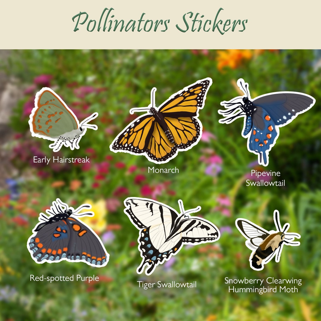 Pollen Sticker Butterfly & Moth Sticker Set: Waterproof Vinyl Pollinators Art Decal - Etsy