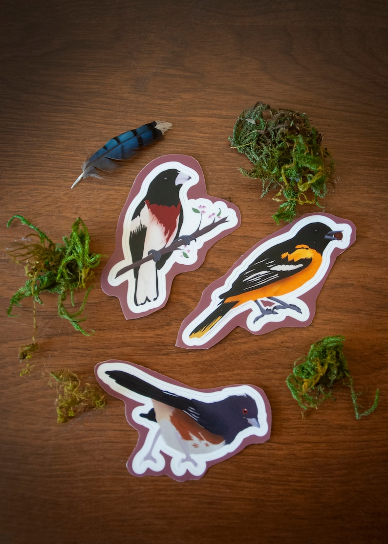 May include: Three colorful bird stickers on a brown wooden surface. The stickers are of a Baltimore Oriole, a Rose-breasted Grosbeak, and a Spotted Towhee.