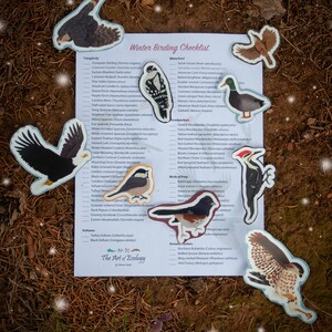 May include: A winter birding checklist with colorful illustrations of various birds, including a bald eagle, a cardinal, a woodpecker, a hawk, and a goose. The checklist includes a list of birds commonly seen in winter, organized by category: songbirds, waterfowl, woodpeckers, birds of prey, and game birds.