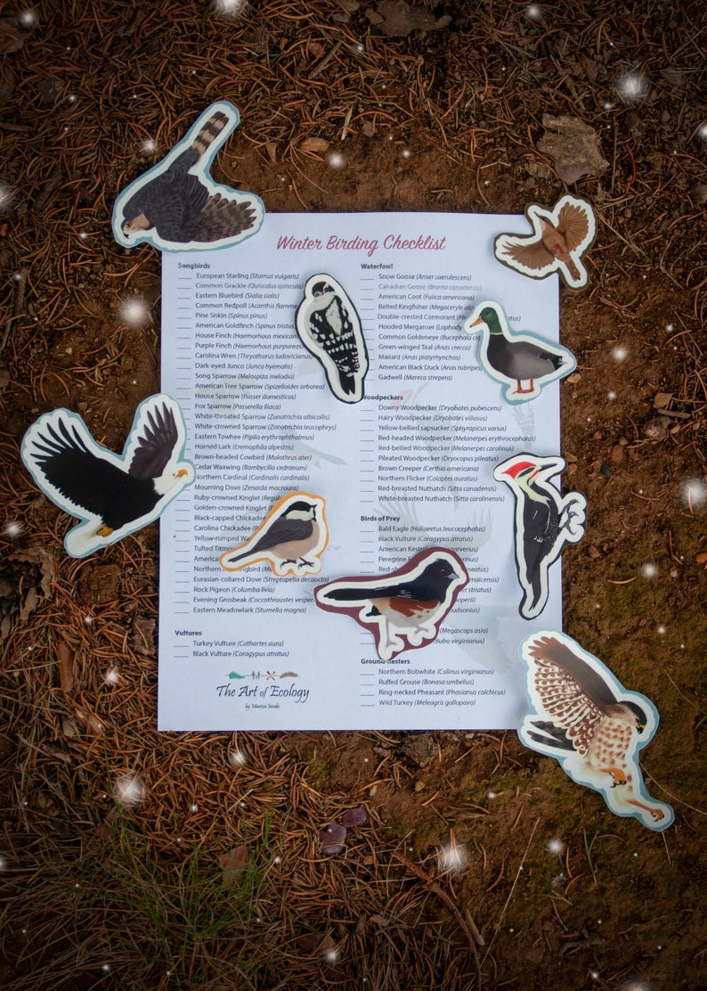 May include: A winter birding checklist with colorful illustrations of various birds, including a bald eagle, a cardinal, a woodpecker, a hawk, and a goose. The checklist includes a list of birds commonly seen in winter, organized by category: songbirds, waterfowl, woodpeckers, birds of prey, and game birds.
