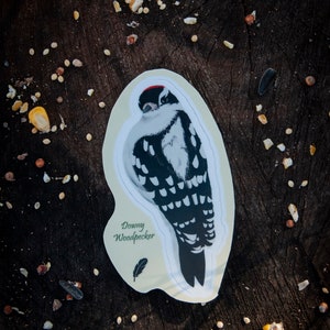 May include: A sticker of a downy woodpecker with black and white markings on a cream background. The sticker has the text "Downy Woodpecker" and a small feather image.