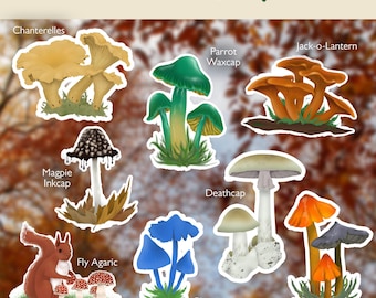Mushroom Fungi Sticker: Waterproof Vinyl Decal - Nature Art